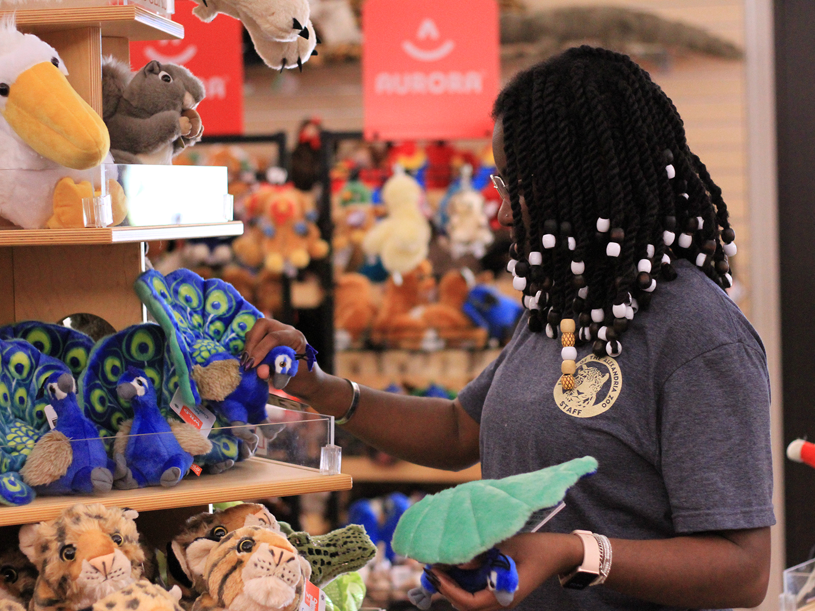 Gift Shop employee restocking