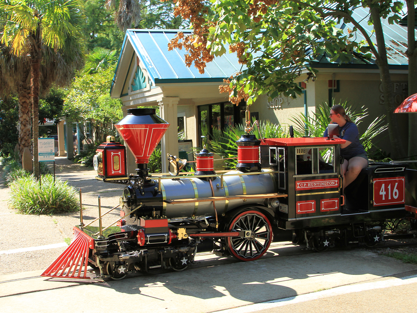 train driver