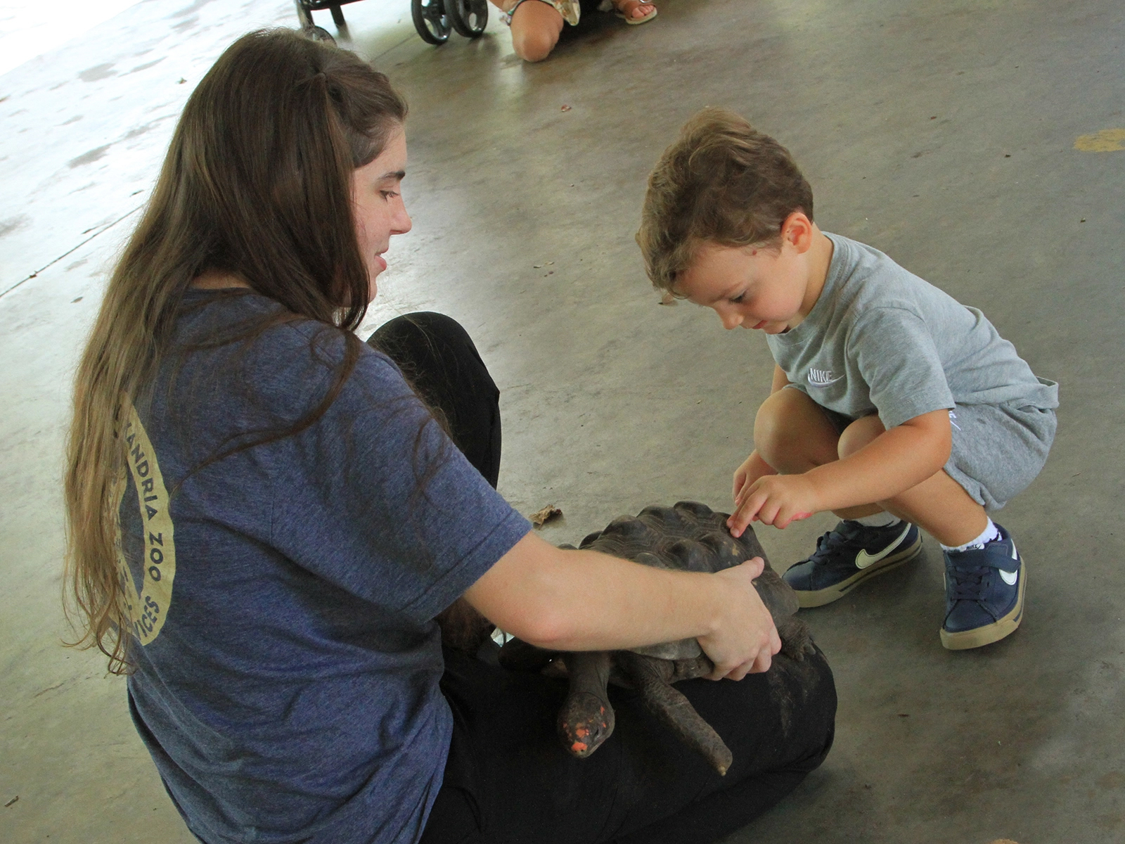 child touching tortoise