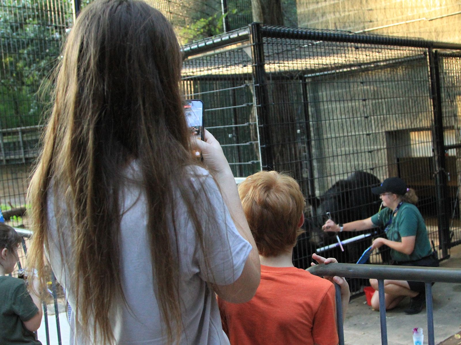 kids viewing behind-the-scenes training with black bears