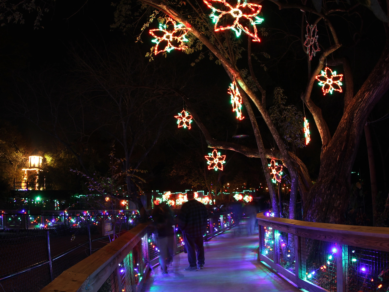 Land of the Jaguar with holiday decorations