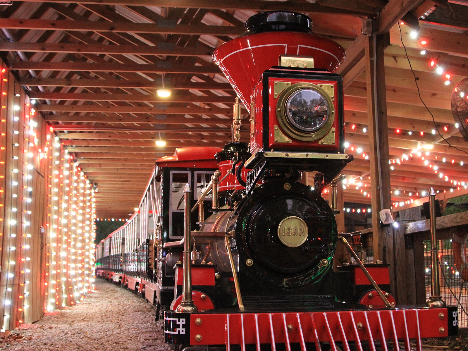 Zoo Train with holiday lights