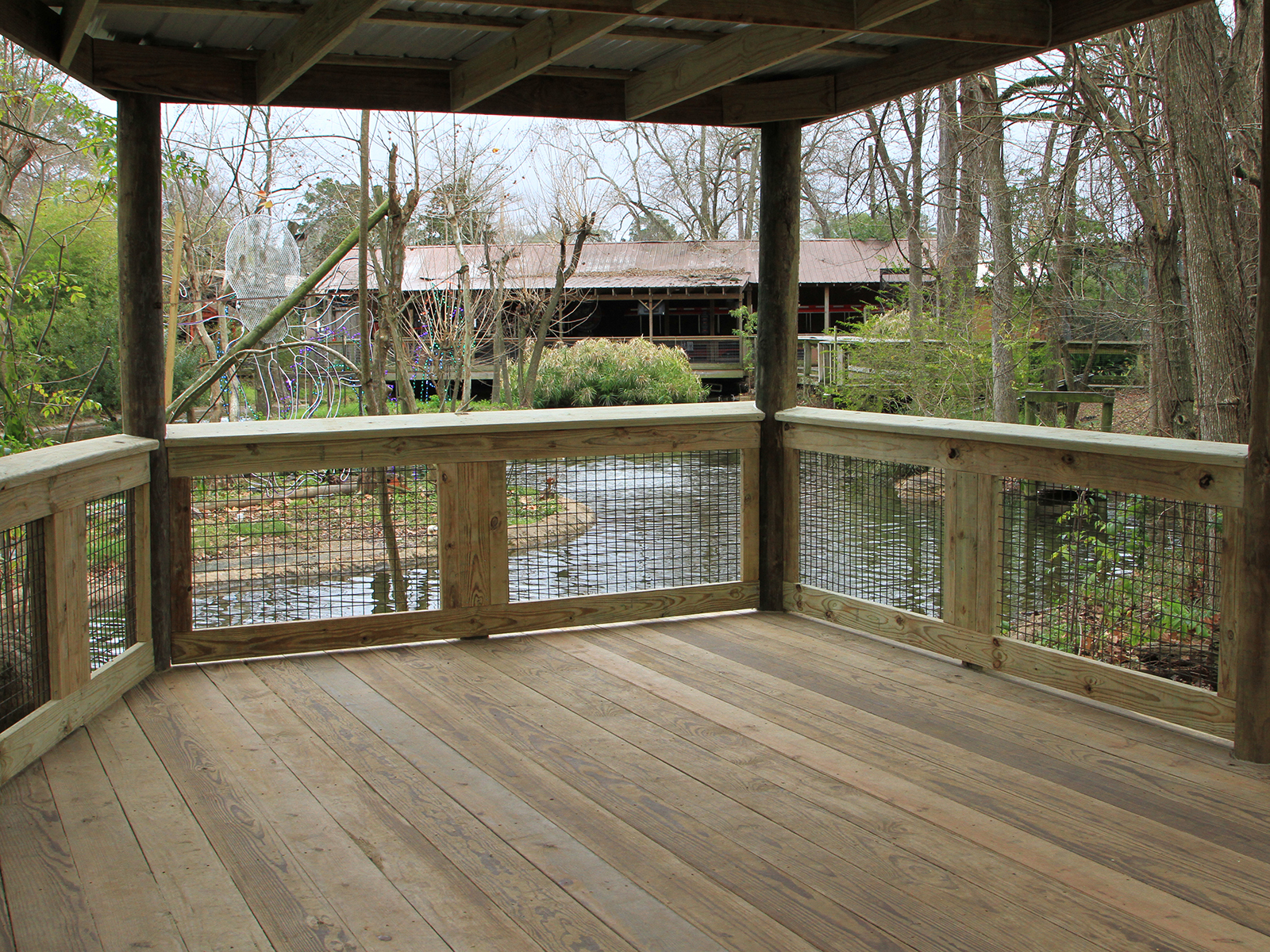 jaguar deck view of koi pond