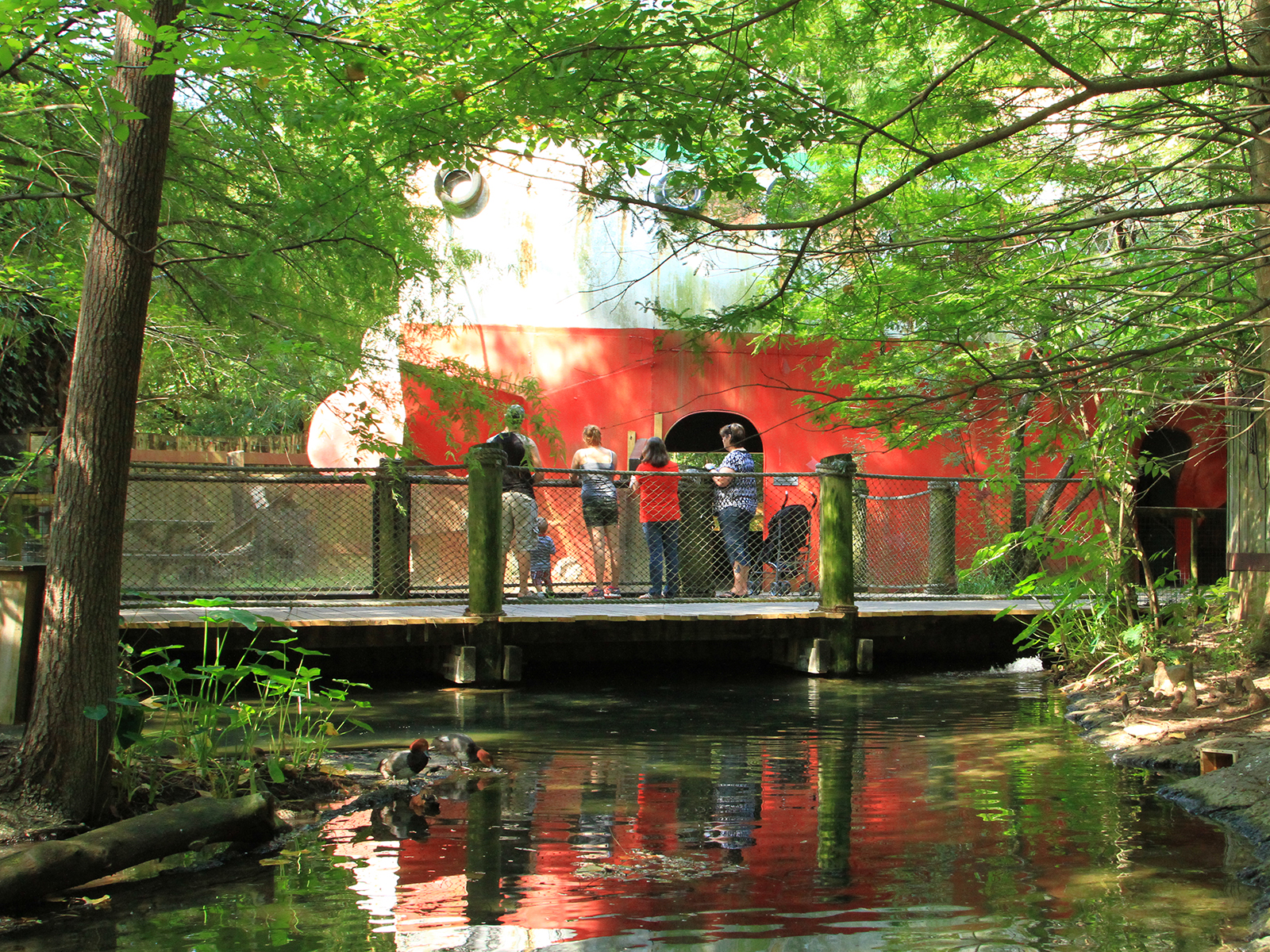 visitors by Shromp Boat in Louisiana Habitat