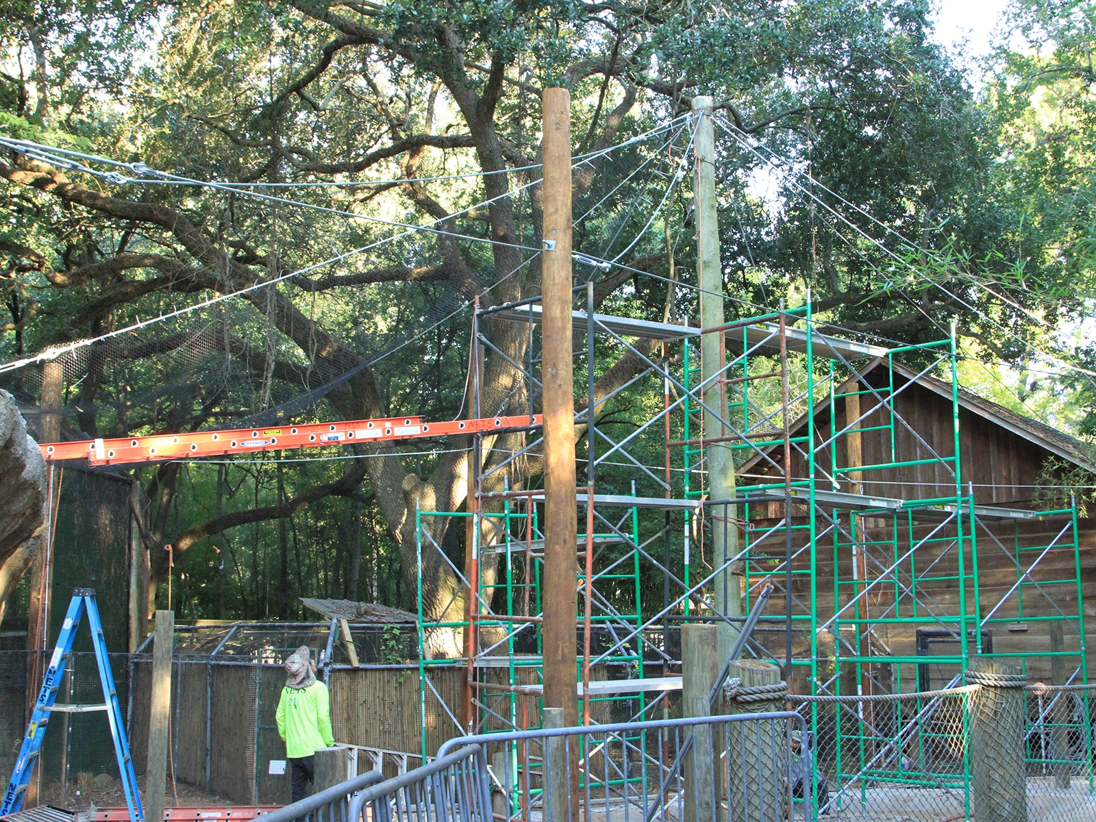 FOTAZ funded zoo project in Louisiana Habitat