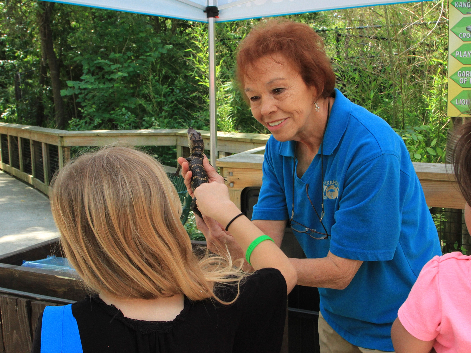 volunteer showing a baby alligator to a guest