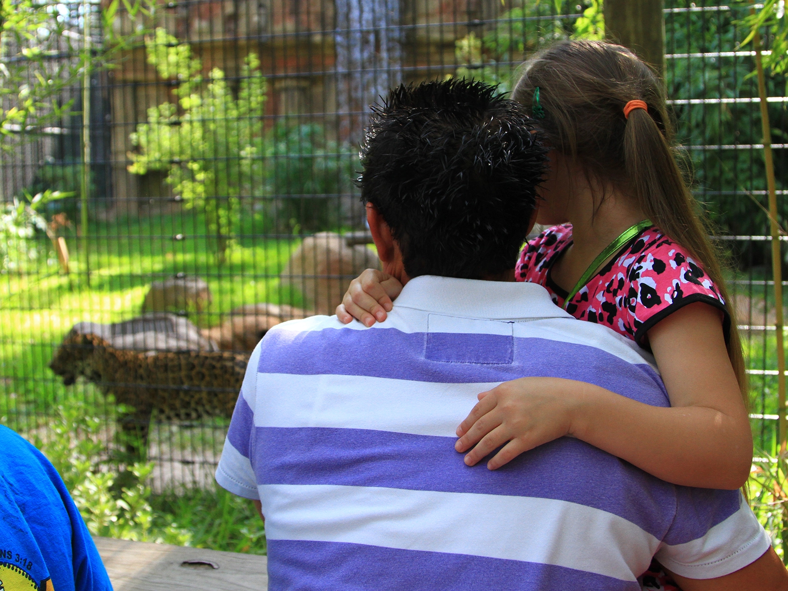 man and child viewing jaguar habitat 