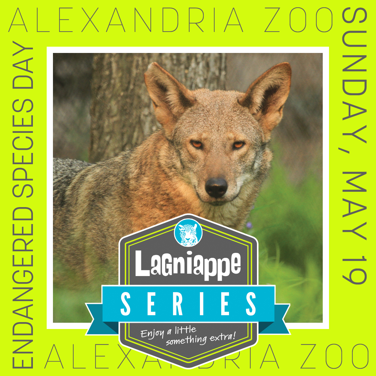 Lagniappe Series logo with red wolf