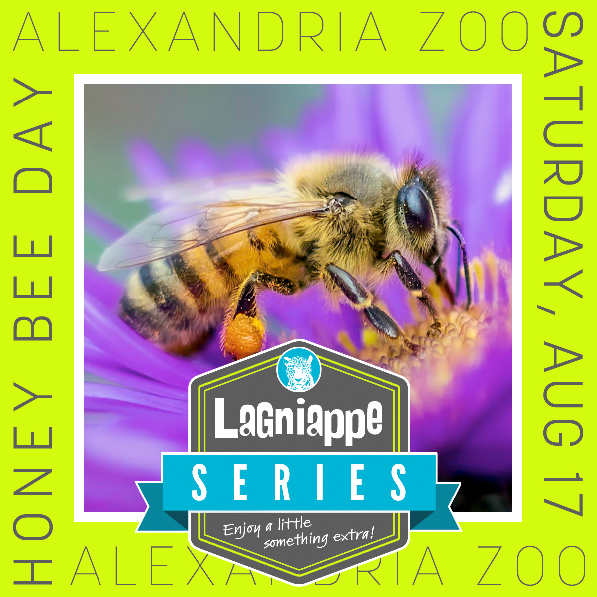 Lagniappe Series logo with bee