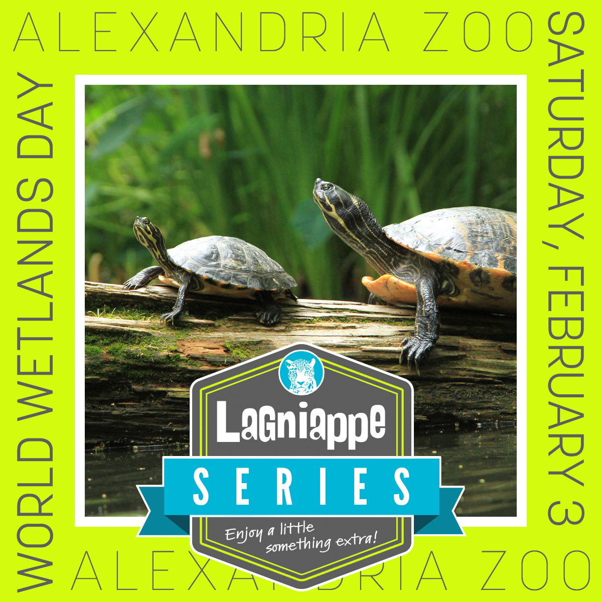 Lagniappe Series logo with turtles