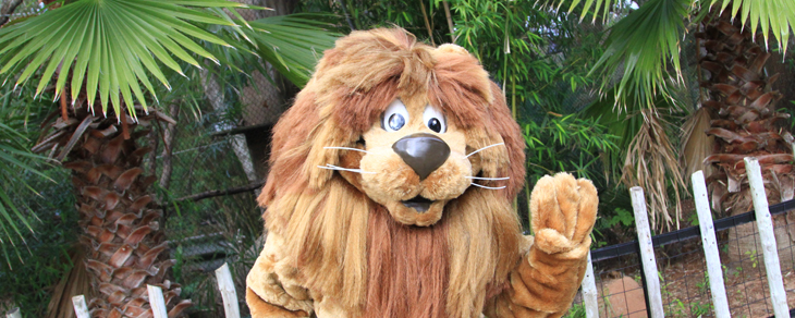 Roary the Lion