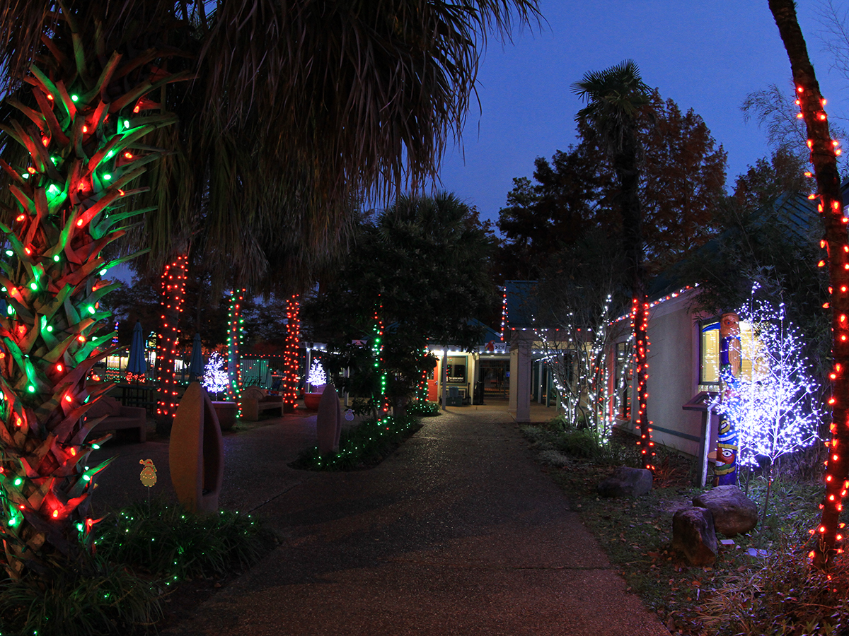 holiday lights at zoo entrance