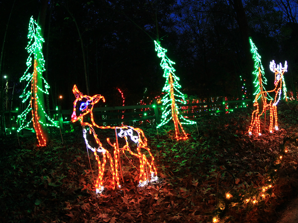 holiday lights at zoo entrance