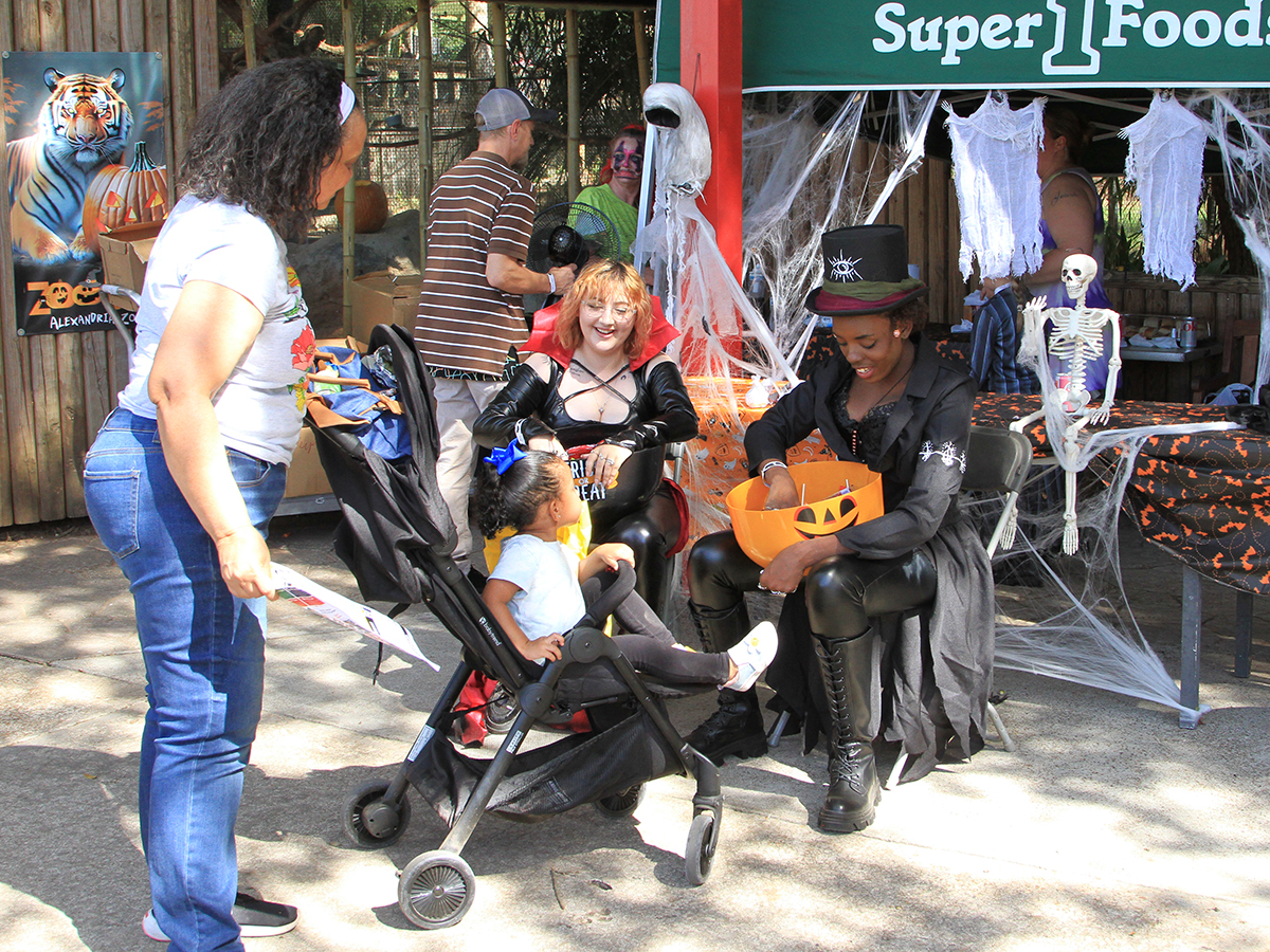 kids trick-or-treating