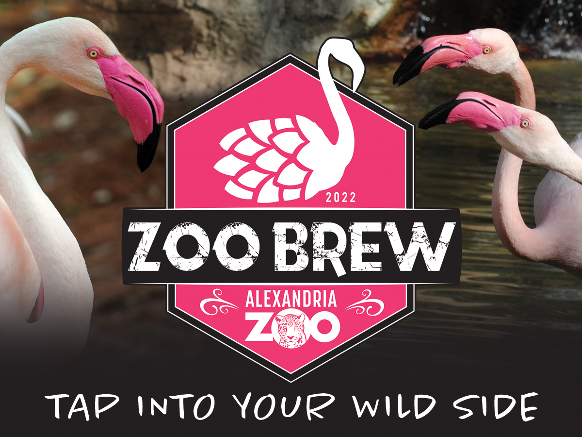 zoo brew logo with flamingos