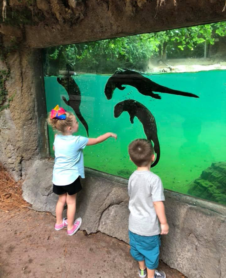 kids and otters